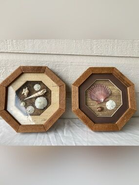 Set of 2 MCM Sea Shell Shadow Box Wooden Art Frames by Alan D. Weltman